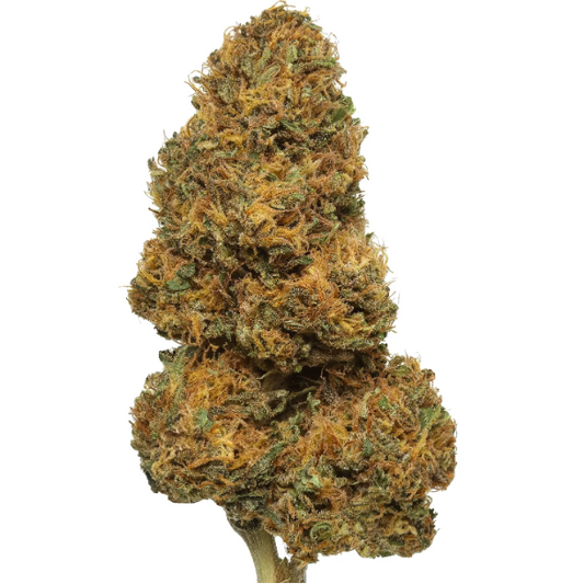 Orange Tangie (H) Indoor CBD Hemp Flower - (1g,3.5g,7g,14g,28g+)