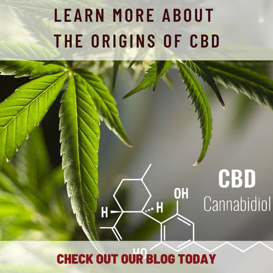How a CBD Specialist Can Guide You to Make the Most of Your CBD Experience