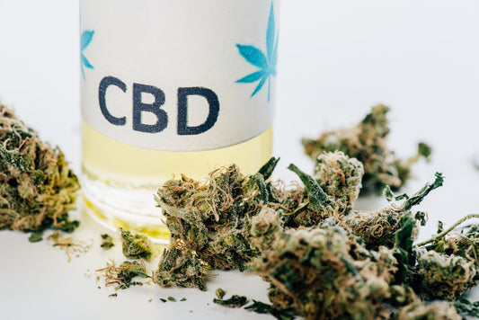 Legitimate CBD: How To Become a Fully Legal CBD Retailer You Can Trust