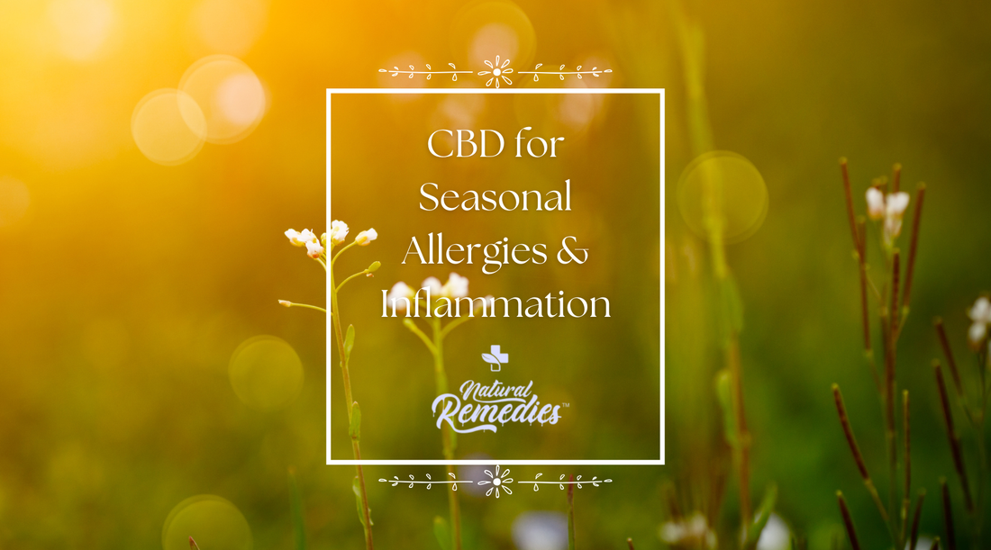 CBD for Seasonal Allergies & Inflammation