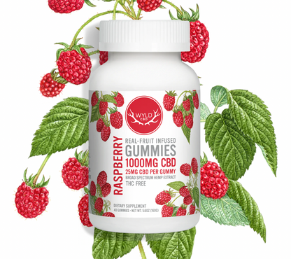 Wyld CBD Raspberry Gummies - 25mg CBD Each Broad Spectrum - 40 Count - 0.00% THC (THC FREE)