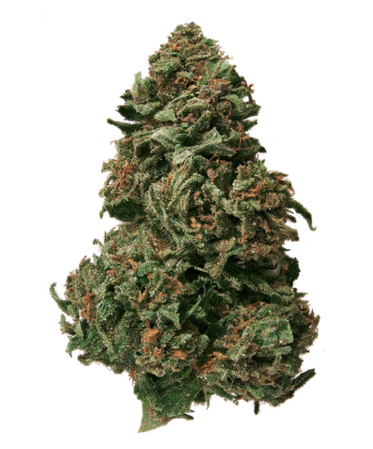 Remedios Naturales Cogollo de Cáñamo CBD Premium 1g y Cono X12