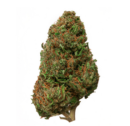 Natural Remedies Cogollo de cáñamo CBD Premium 1 g y Cono X5