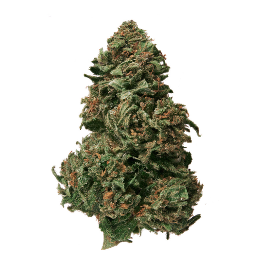 Pink Panther - CBD Hemp Flower (Sativa)