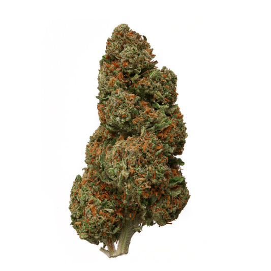 Hercules - CBD Hemp Flower (Sativa/Hybrid)