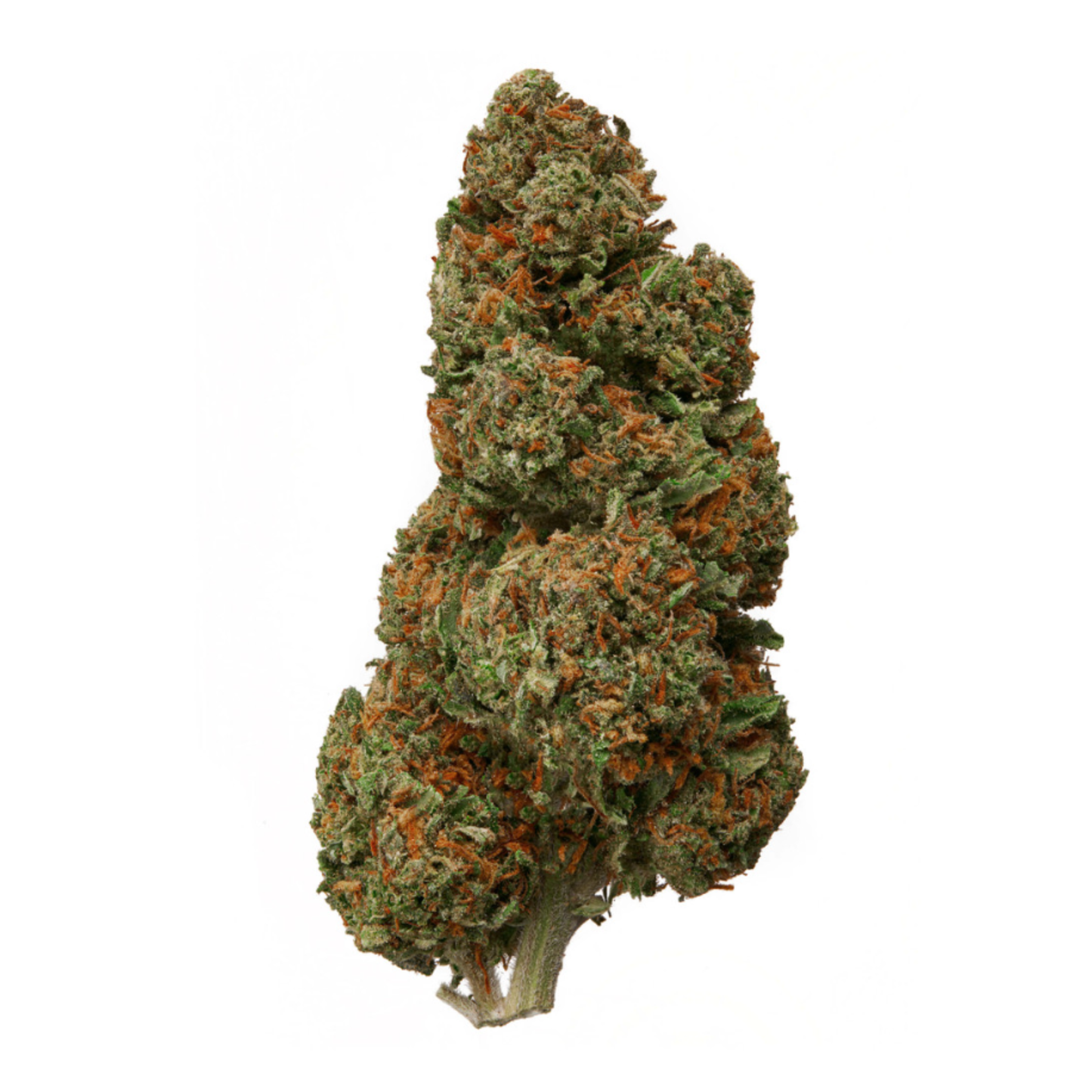 Hawaiian Haze - CBD Hemp Flower (Indica/Hybrid)