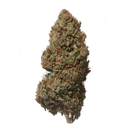Natural Remedies Cogollo de cáñamo CBD Premium 1 g y Cono X5