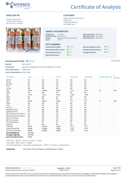 Wyld Agua con Gas de Pomelo - 20mg CBD + 10mg CBG - 0.00% THC (SIN THC)